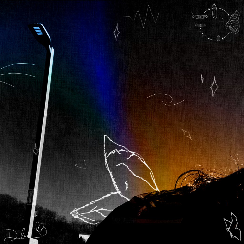 Dylan Longworth – complete metamorphosis