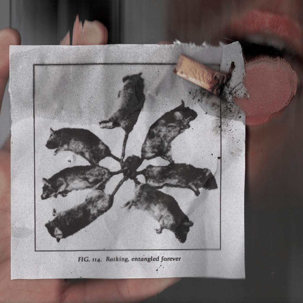 THE ARCHIVE: bodyimage –&nbsp;ratking